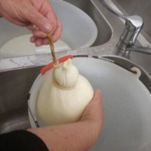Caciocavallo