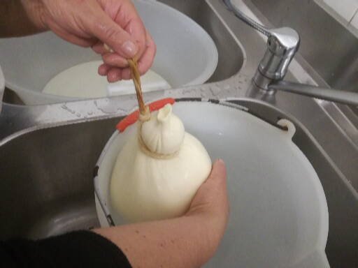 Caciocavallo