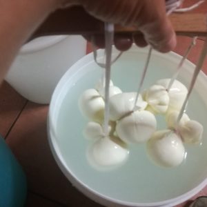 Scamorza