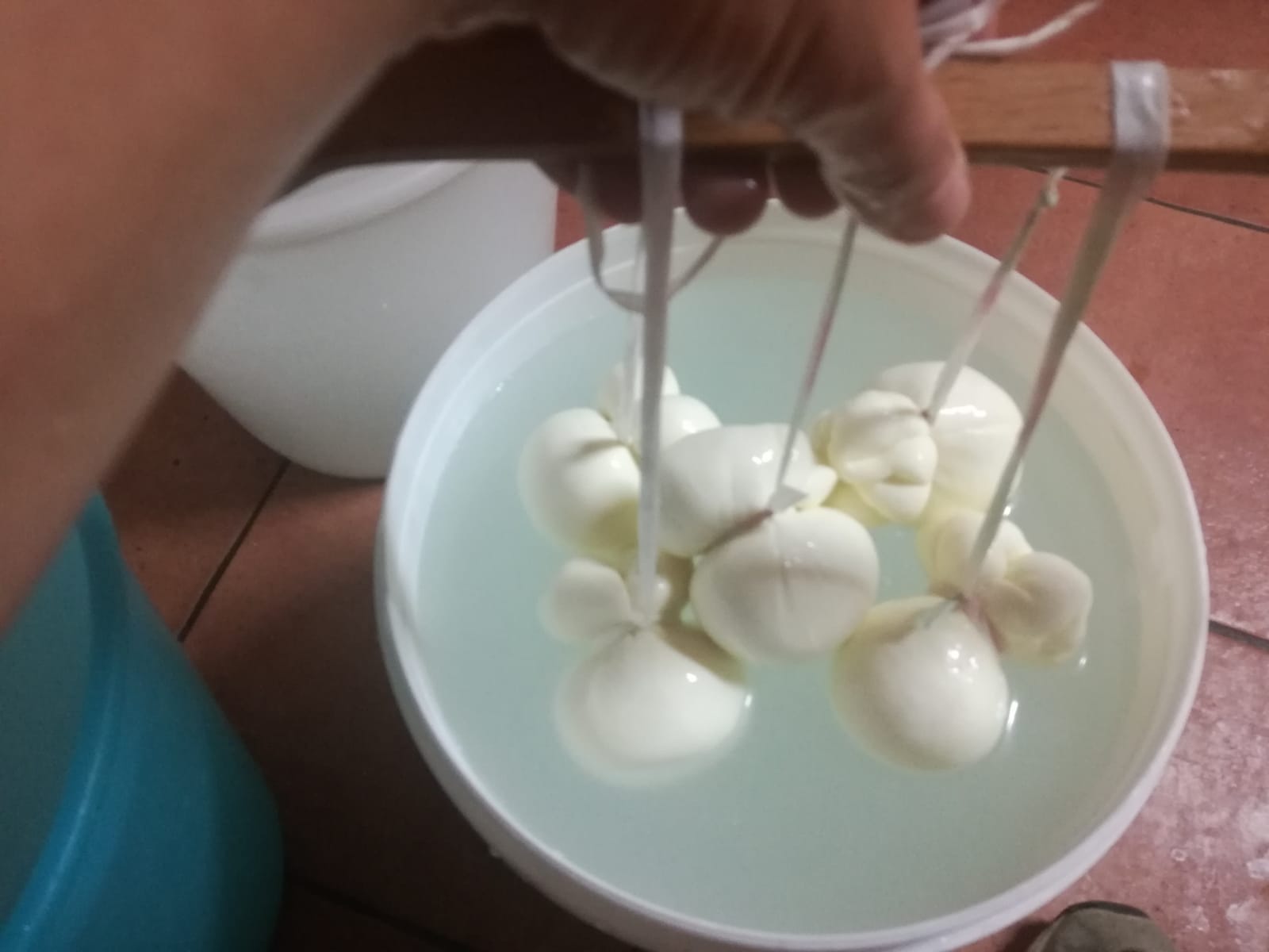 Scamorza